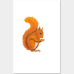 Red Squirell Watercolor Gouache Pattern Posters and Art